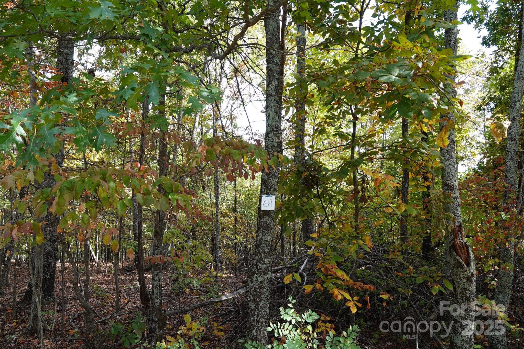 Lot at 69 Adirondack Lane, Bostic, photo 9 of 16