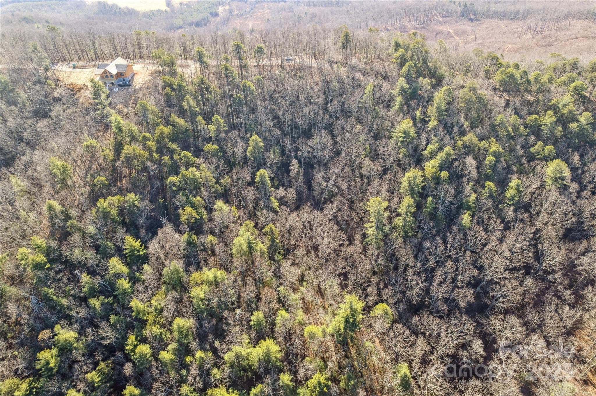 Acreage at 5241 pine ridge Drive, Connelly Springs, photo 9 of 14