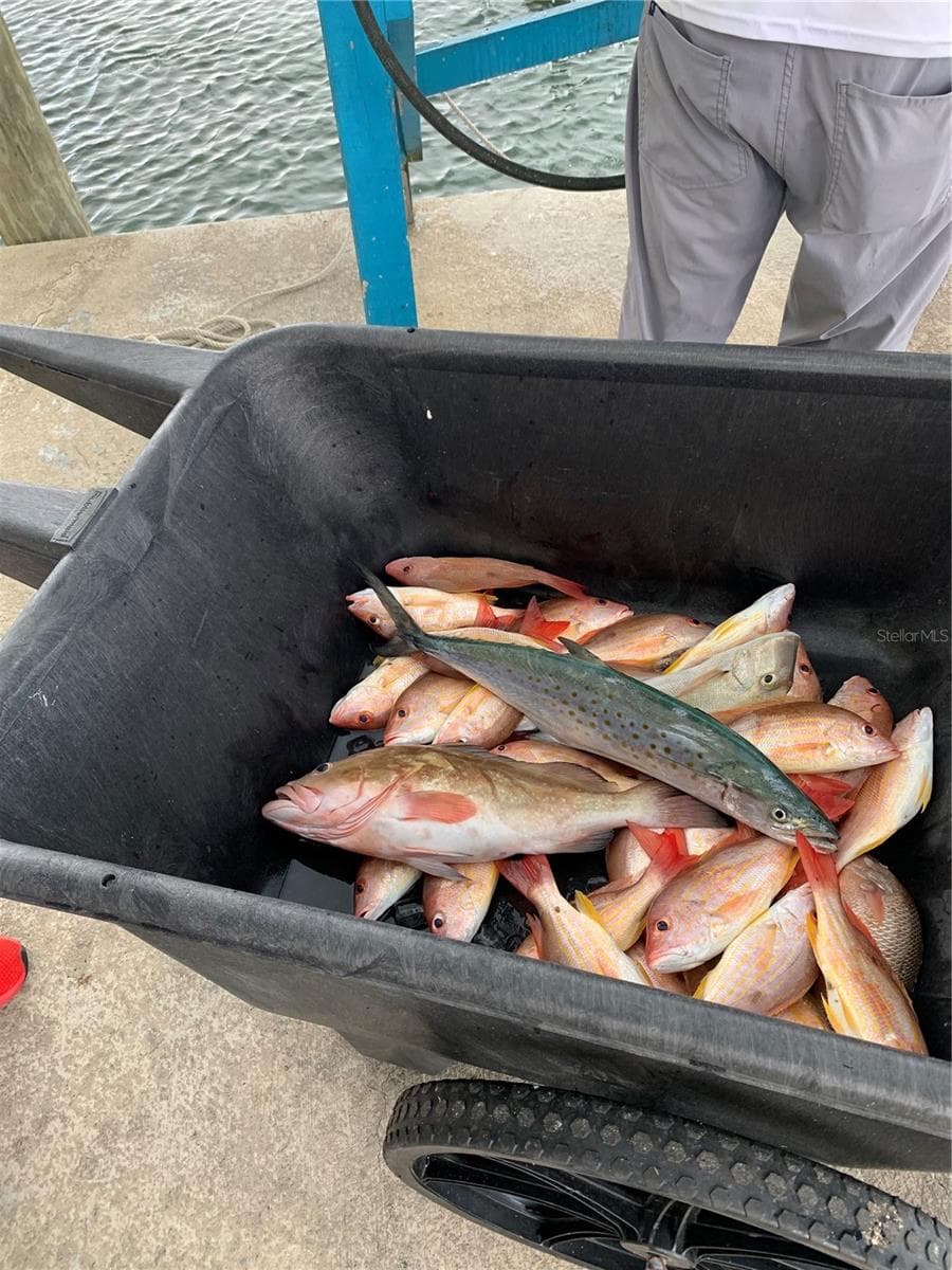 Catch from Gulf of Mexico - 430 NW 39TH AVE, CAPE CORAL