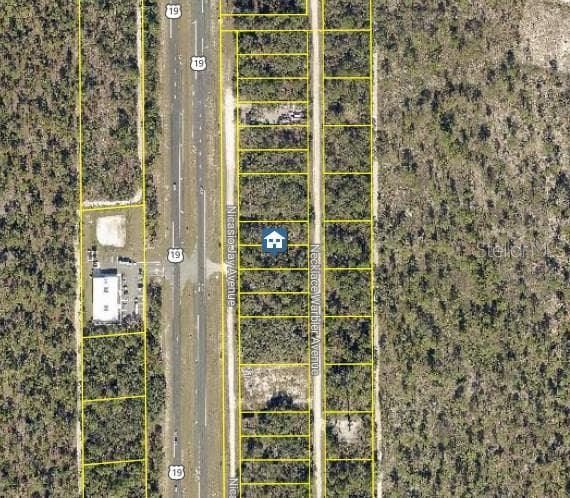 Land at LOT 14 NECKLACE WARBLER, WEEKI WACHEE, photo 2 of 4