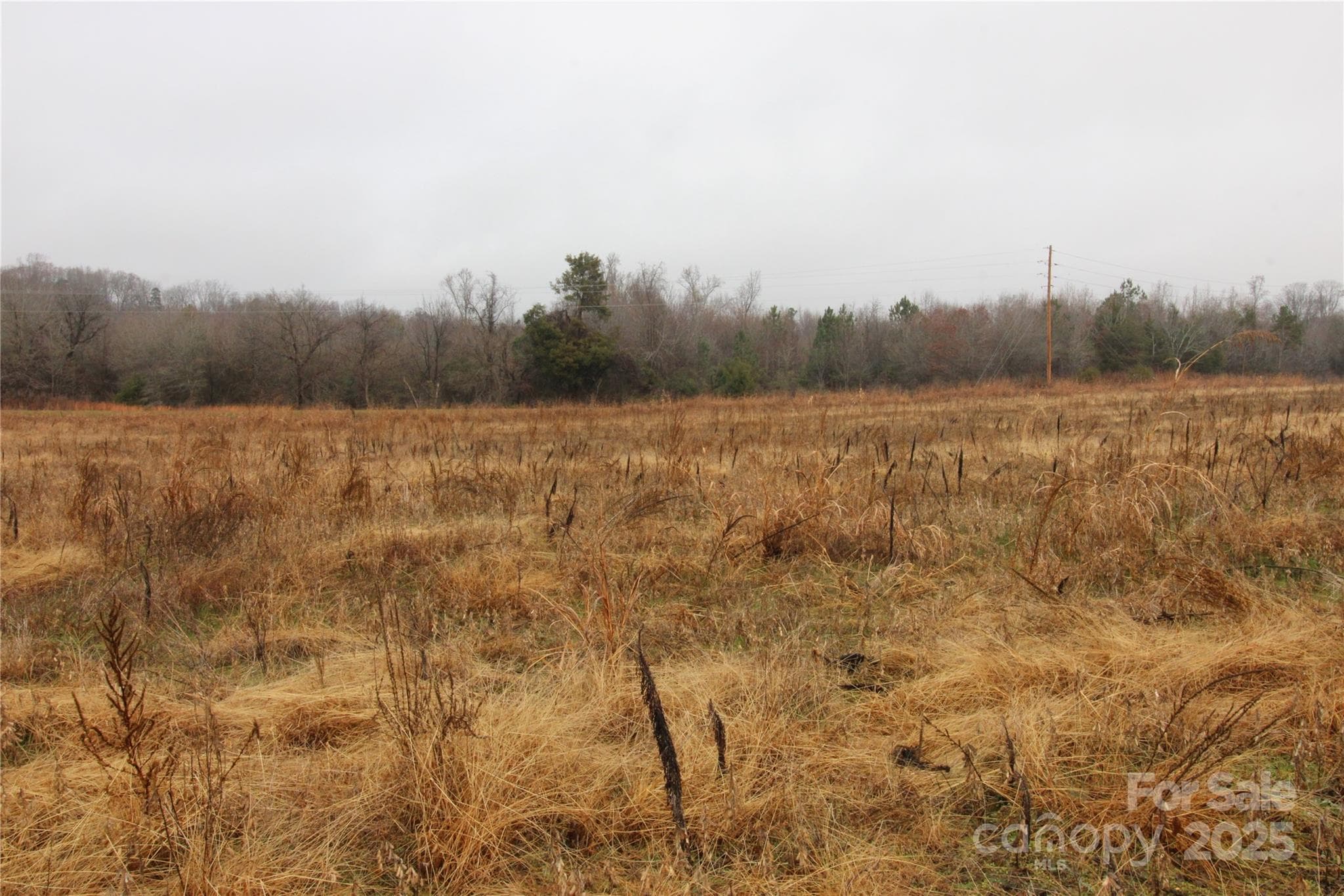 Lot at 3.02+/-AC Bess Road, Bessemer City, photo 3 of 5