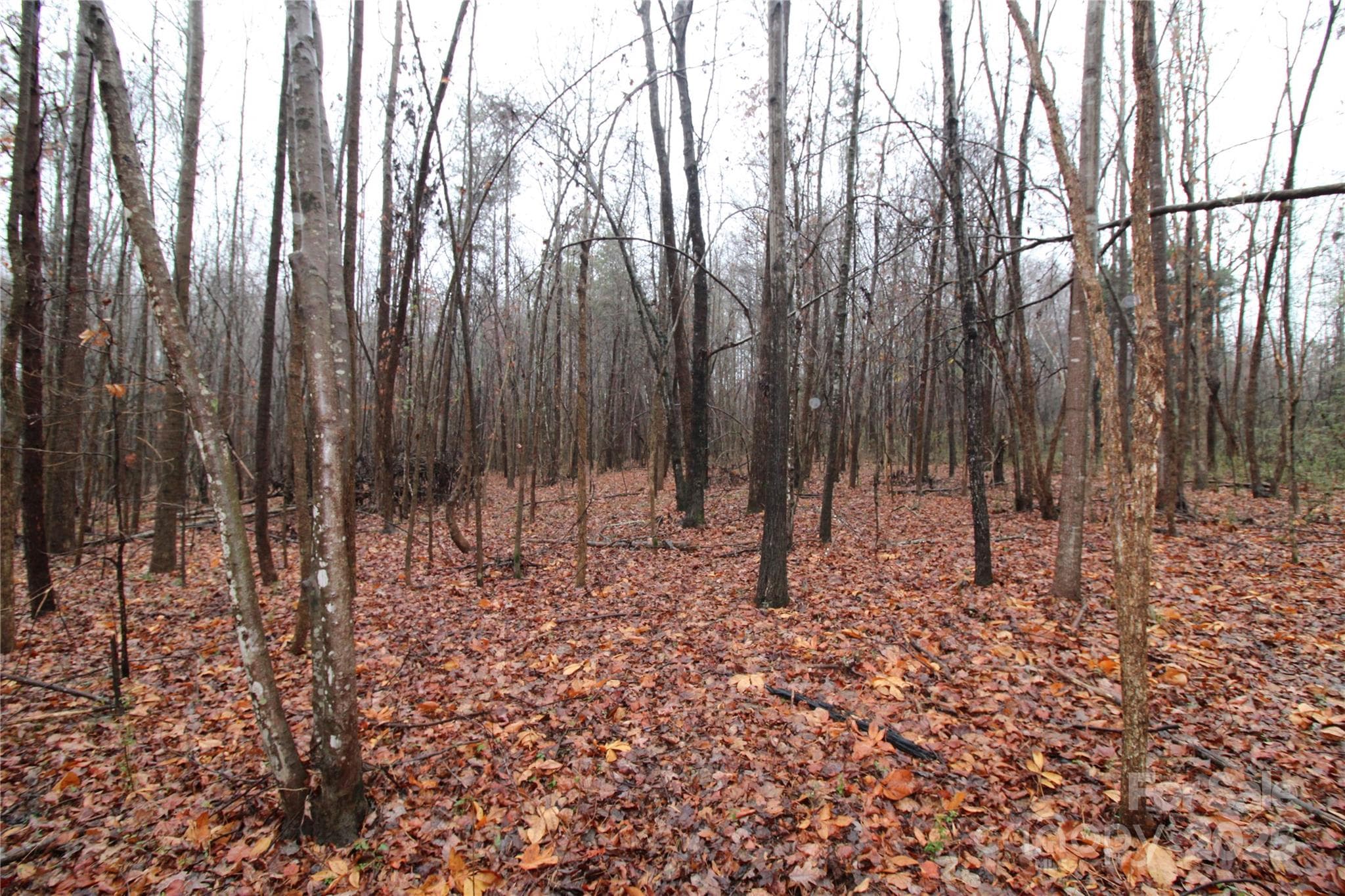 Lot at 3.02+/-AC Bess Road, Bessemer City, photo 5 of 5