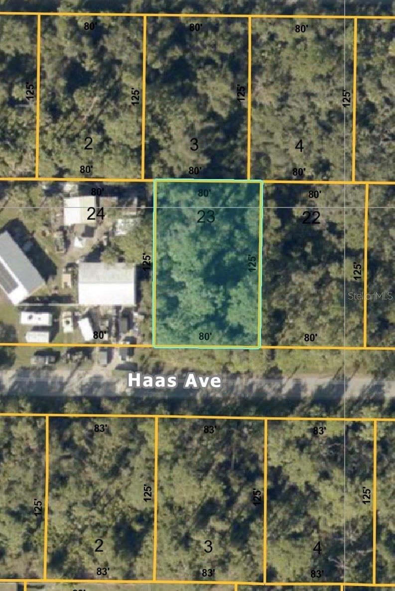 HAAS AVE