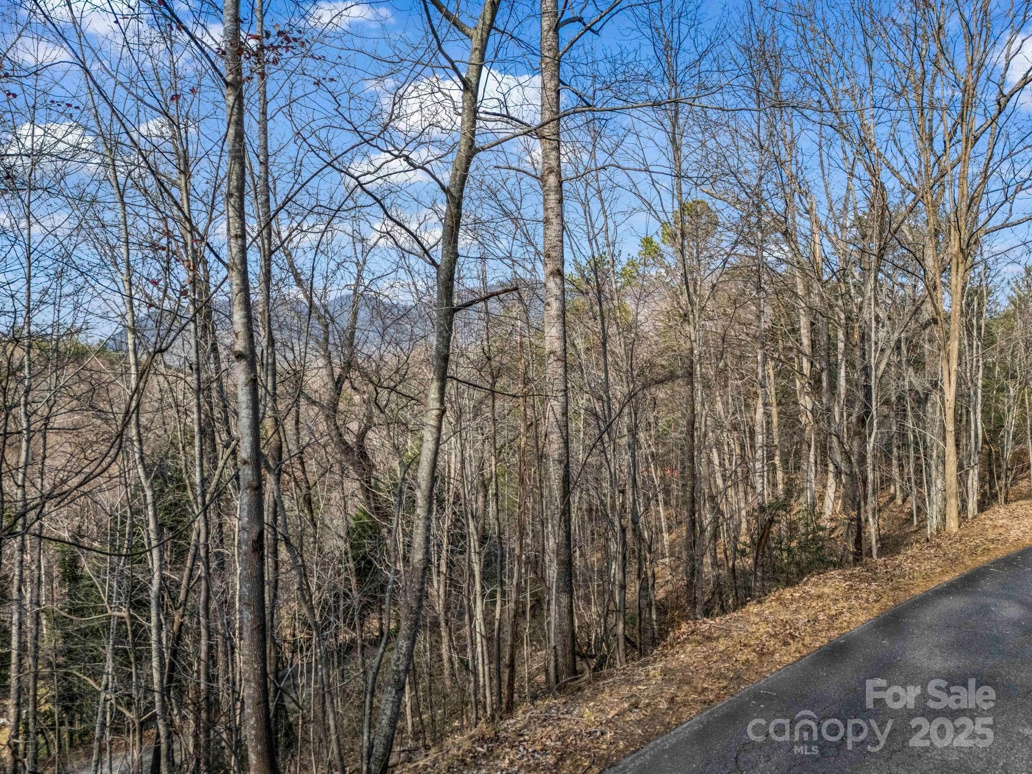 Lot at 0000 Holmes Road, Lake Lure, photo 2 of 31