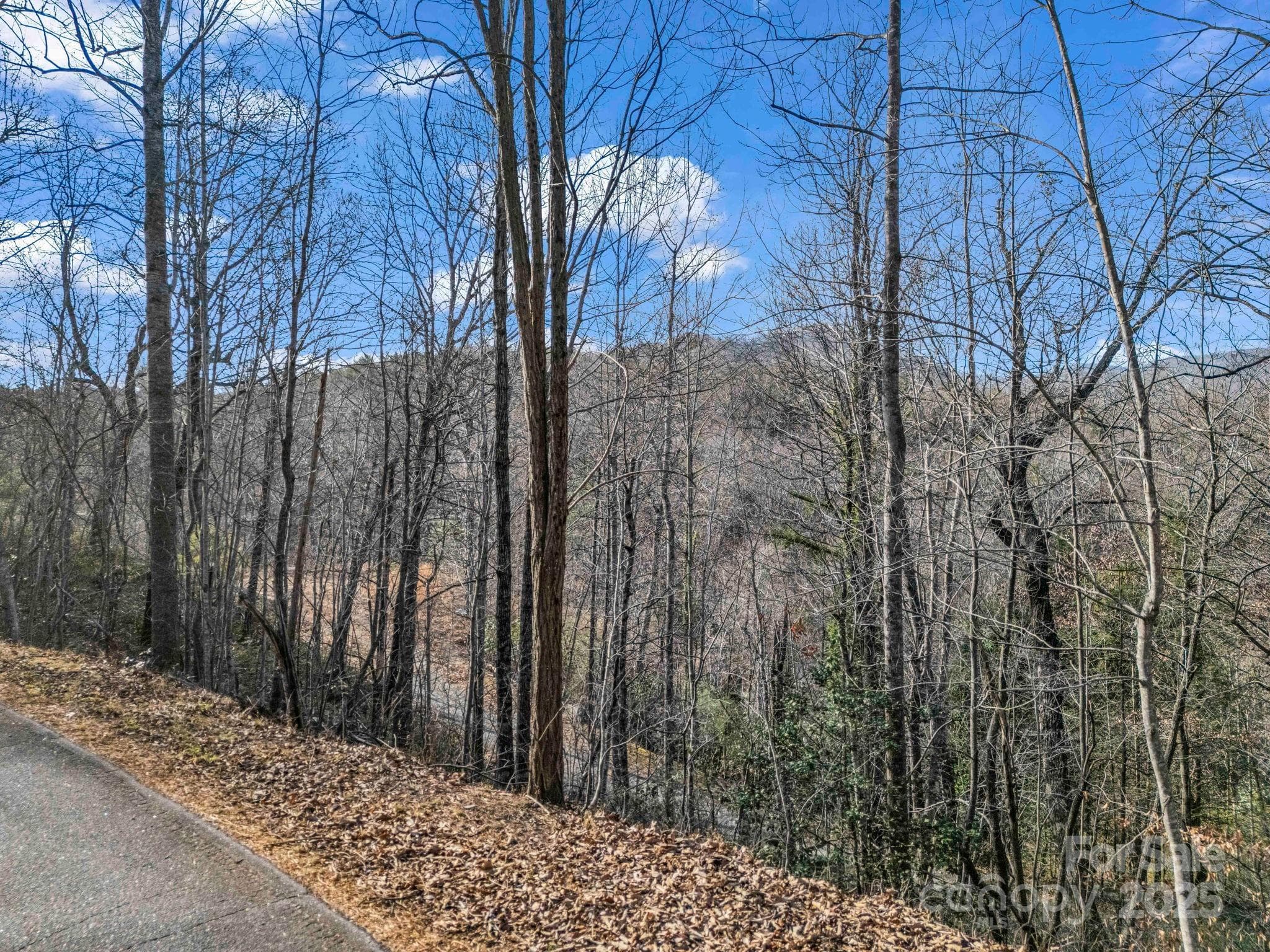 Lot at 0000 Holmes Road, Lake Lure, photo 4 of 31