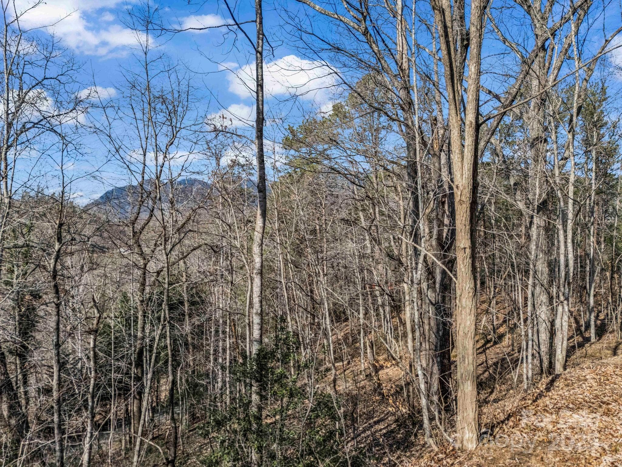 Lot at 0000 Holmes Road, Lake Lure, photo 7 of 31