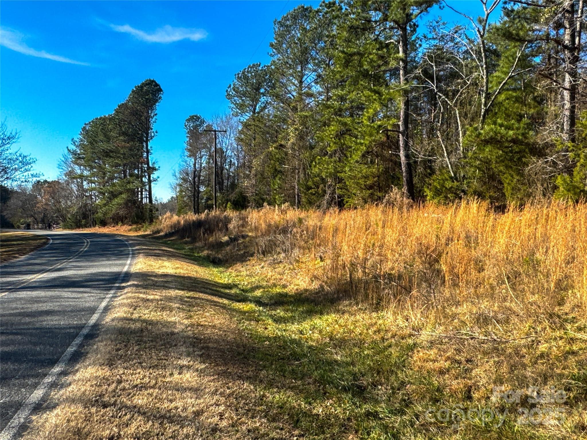 Power at the Road - Shelby