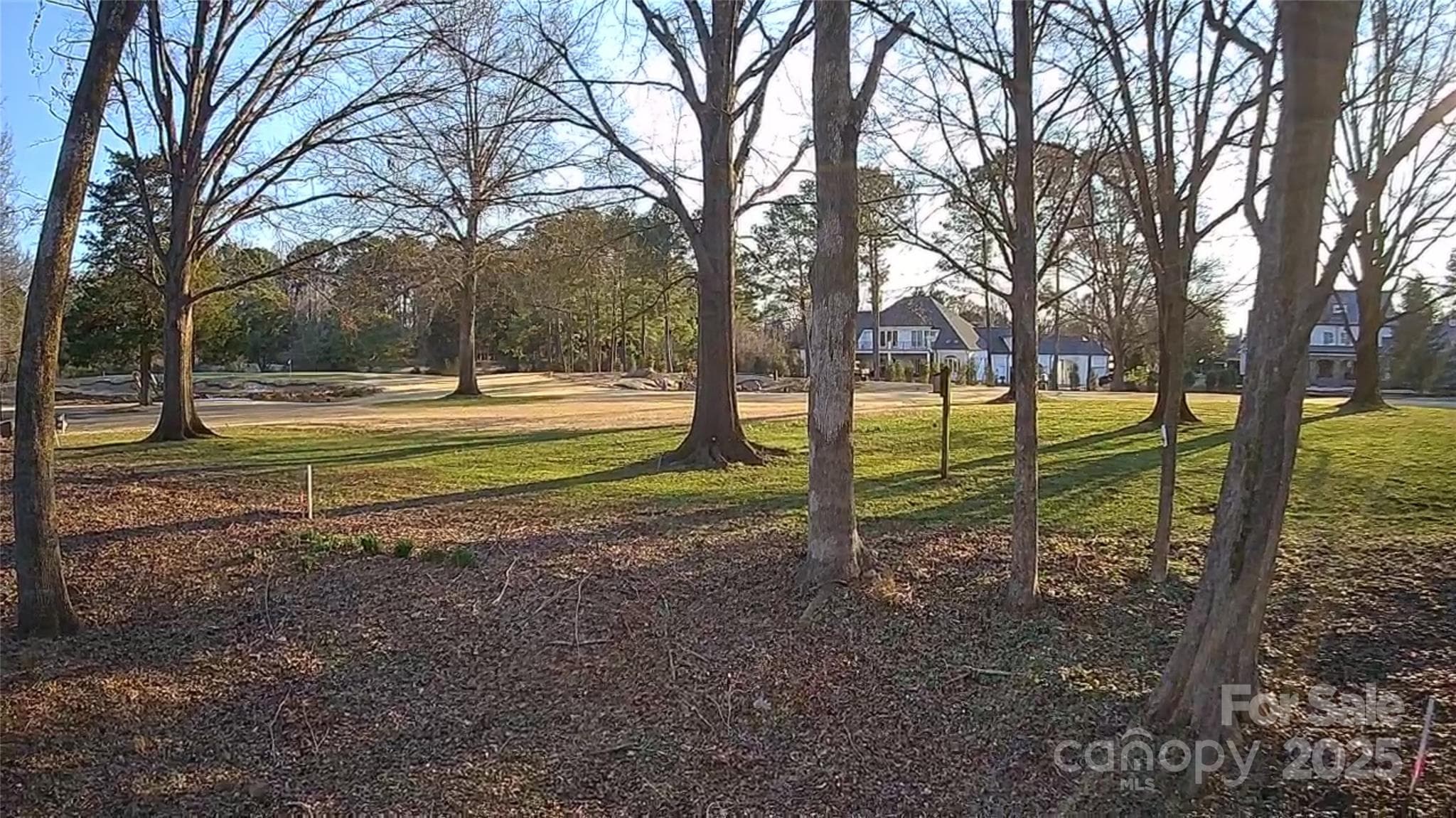 Lot at Charlotte, photo 3 of 3