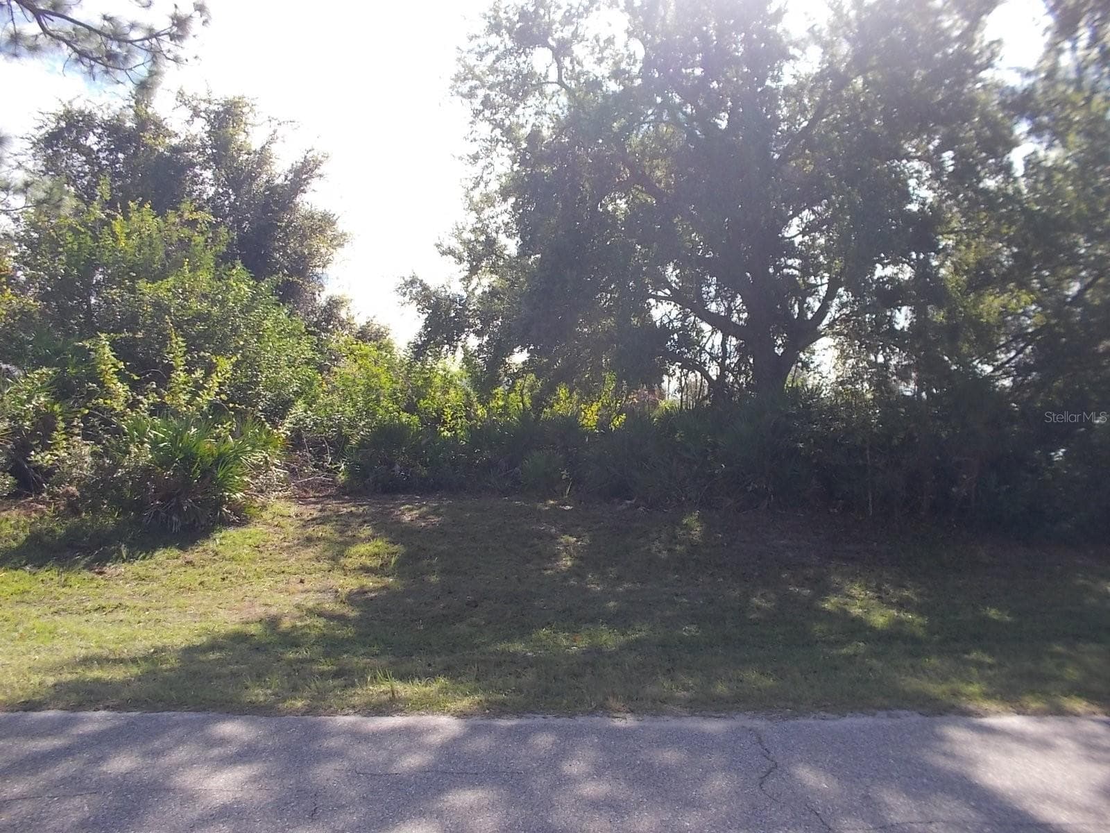 Looking at Lot from the street - 147 YELLOW PINE DR, ROTONDA WEST