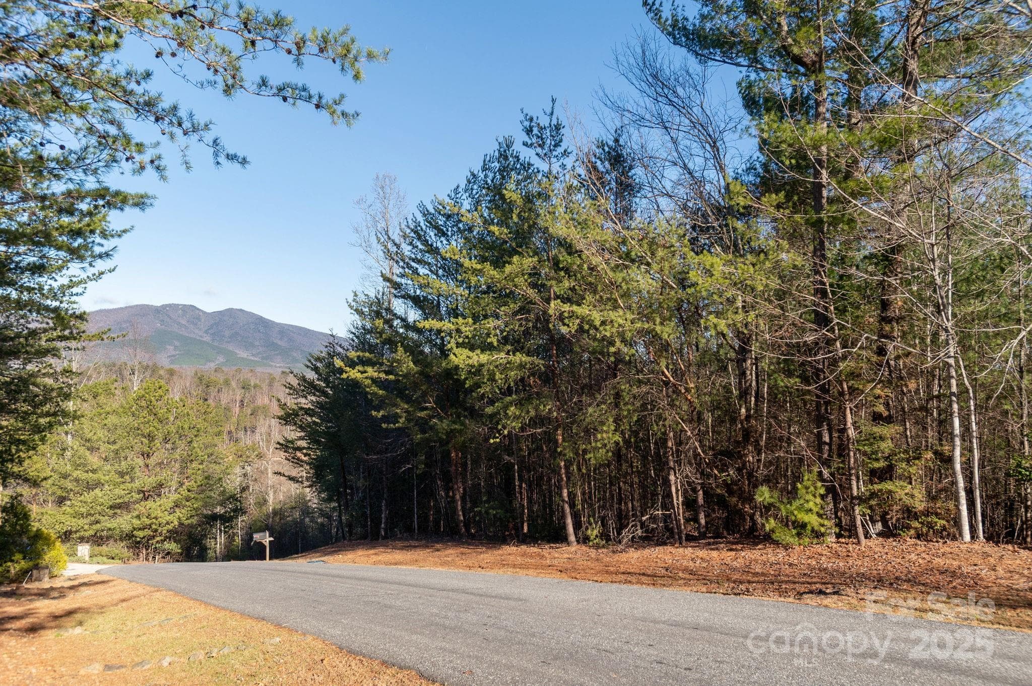 Lot at Nebo, photo 6 of 17