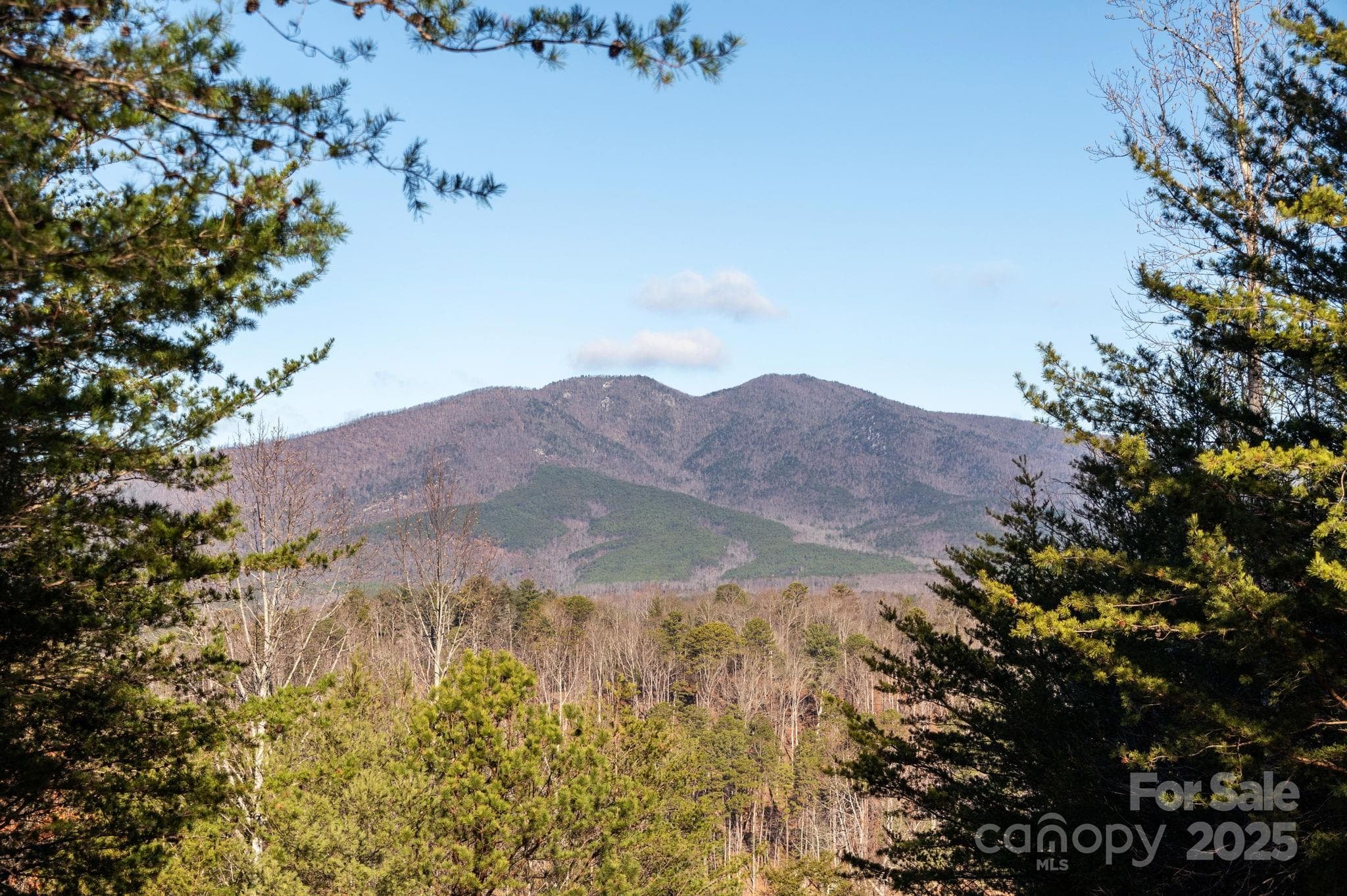 Lot at Nebo, photo 7 of 17