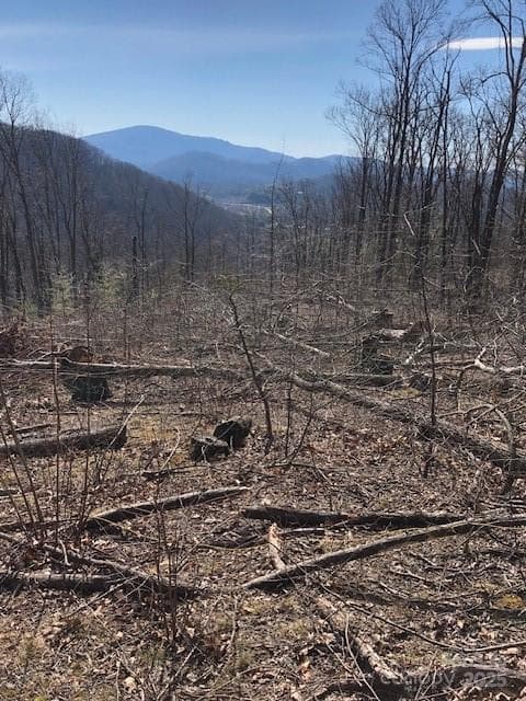 Lot at Hendersonville, photo 3 of 5