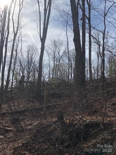 Lot at Hendersonville, photo 2 of 5