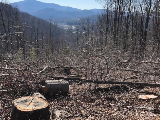 Lot at Hendersonville, photo 5 of 5