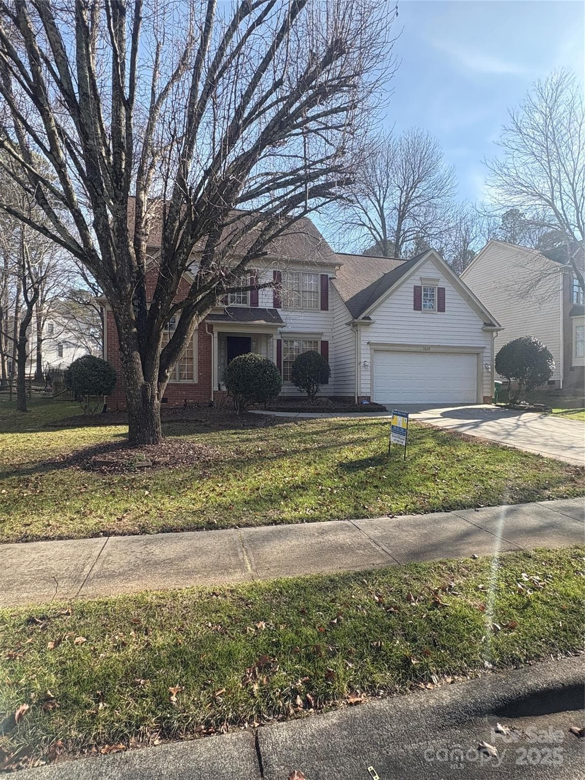 Left Side - Charlotte
