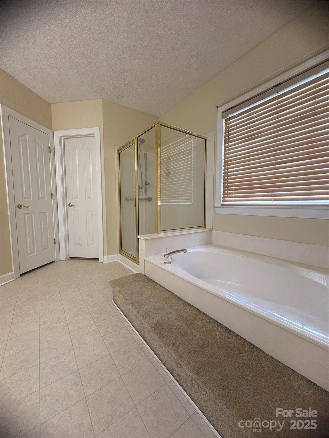 Downstairs Master Bathroom - Charlotte