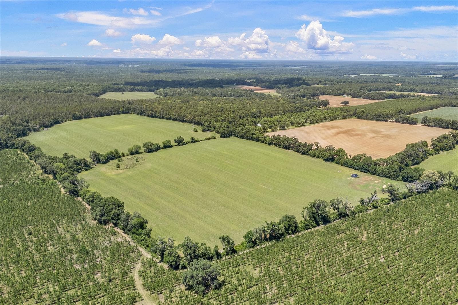 Land at 227TH DR, HIGH SPRINGS, photo 11 of 39