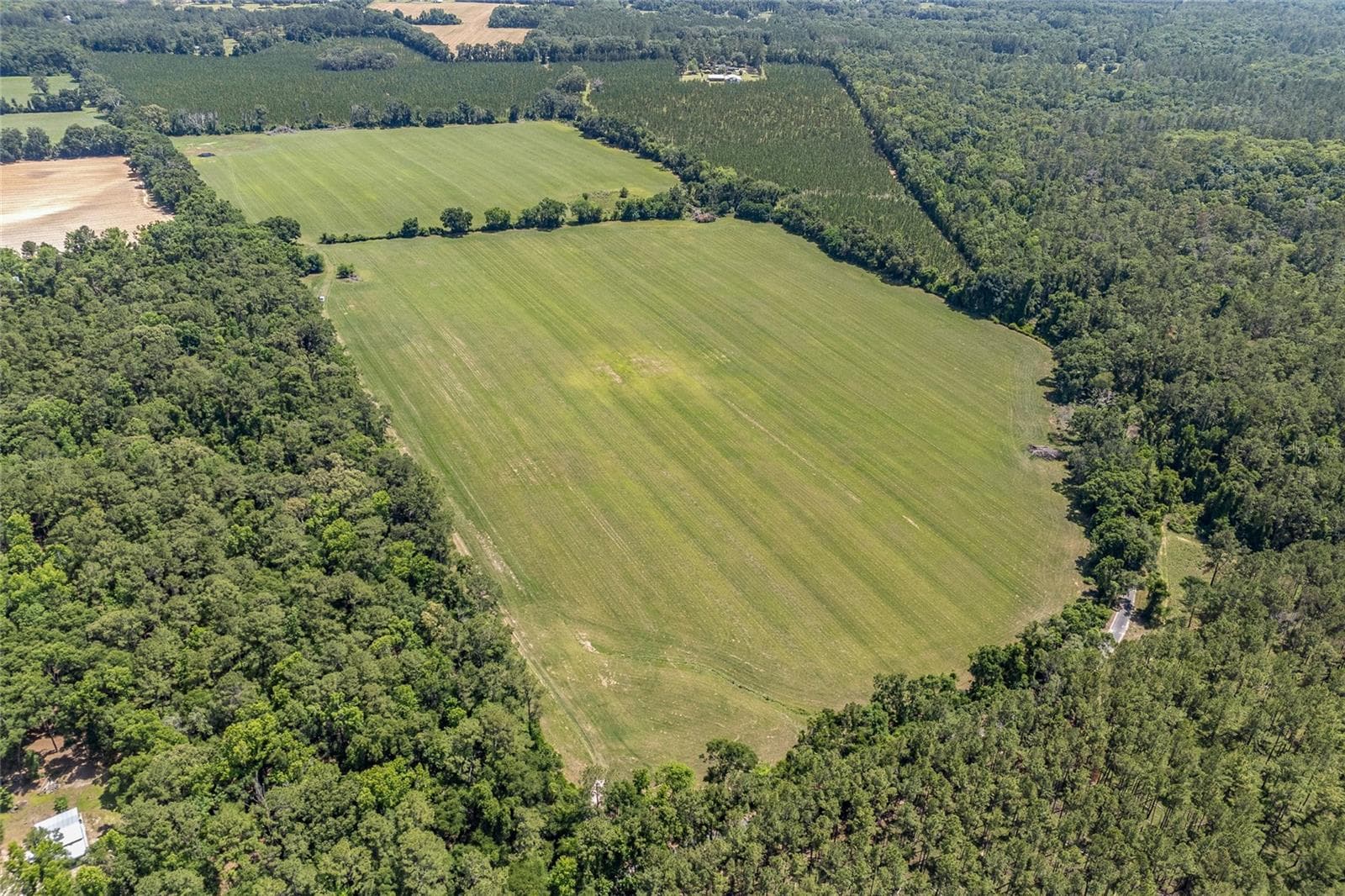 Land at 227TH DR, HIGH SPRINGS, photo 27 of 39