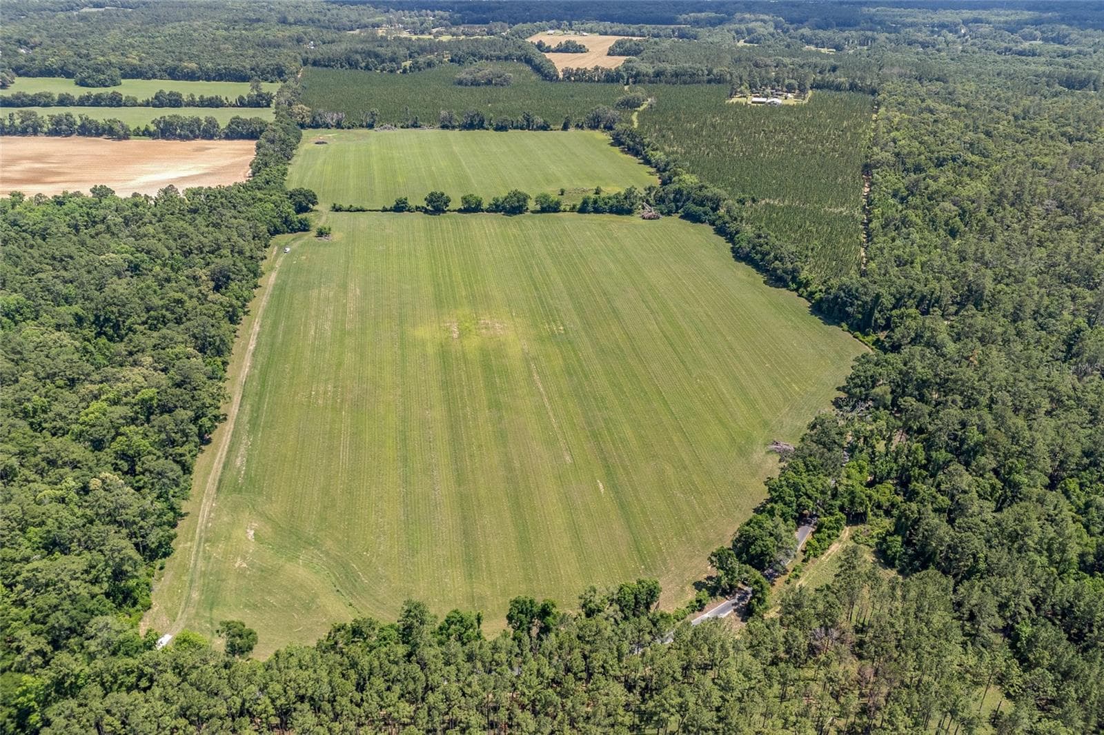 Land at 227TH DR, HIGH SPRINGS, photo 29 of 39