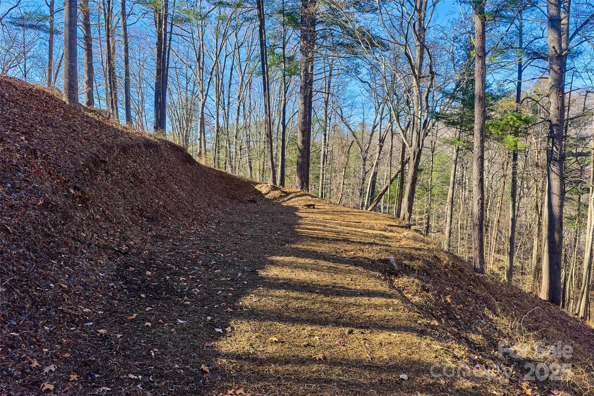 Build site #1, cut in and ready. - 15 Beech Tree Lane, Asheville