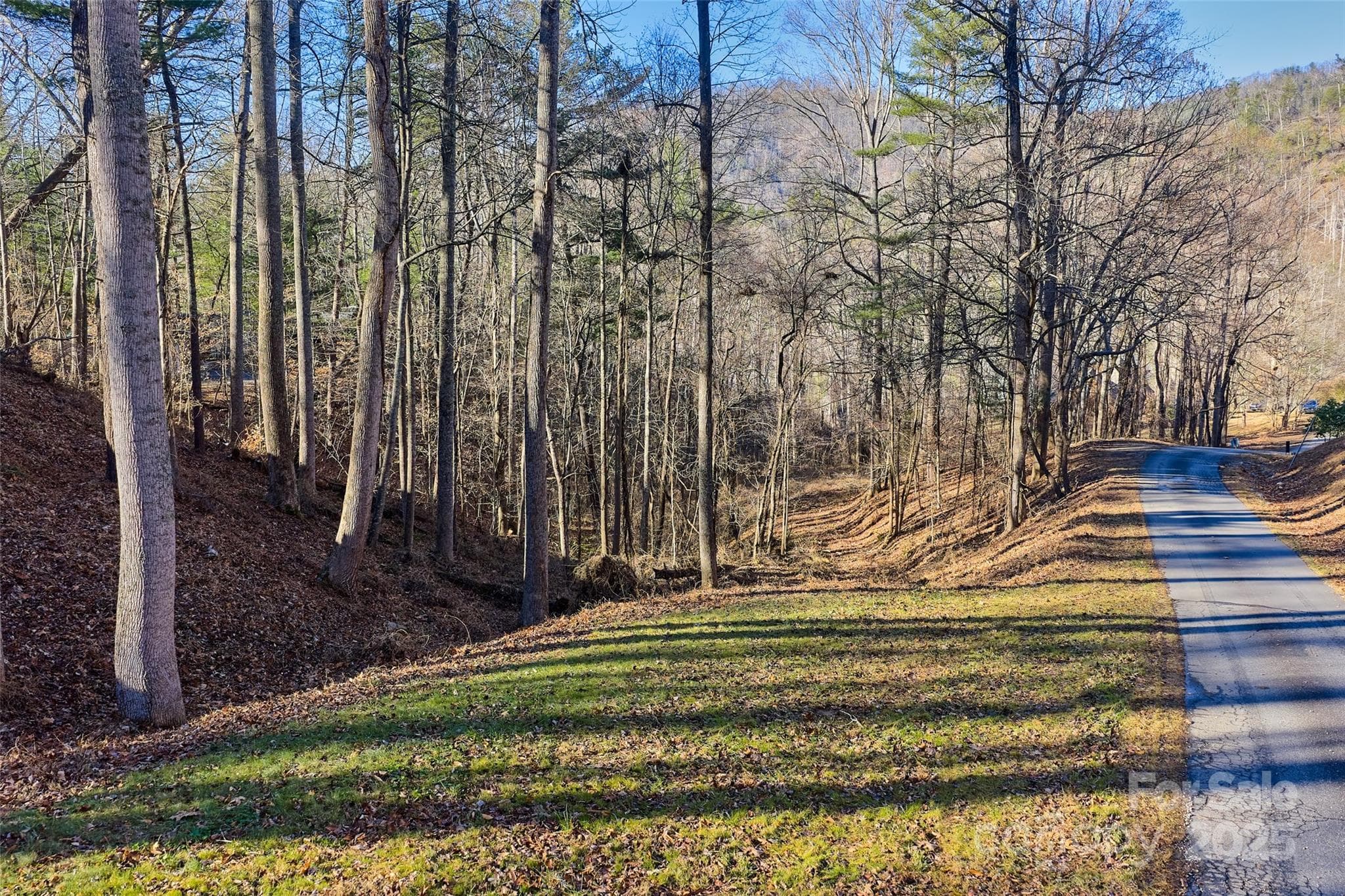 View of lower driveway cutout and Beech Tree Lane - 15 Beech Tree Lane, Asheville
