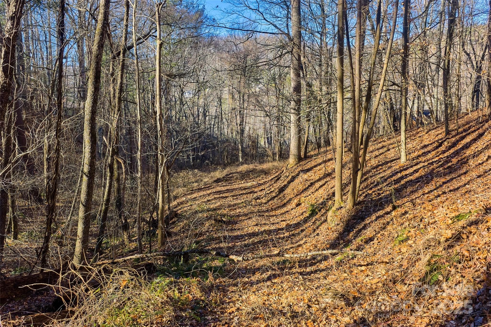 Lower driveway cutout and possible build site #2 - 15 Beech Tree Lane, Asheville