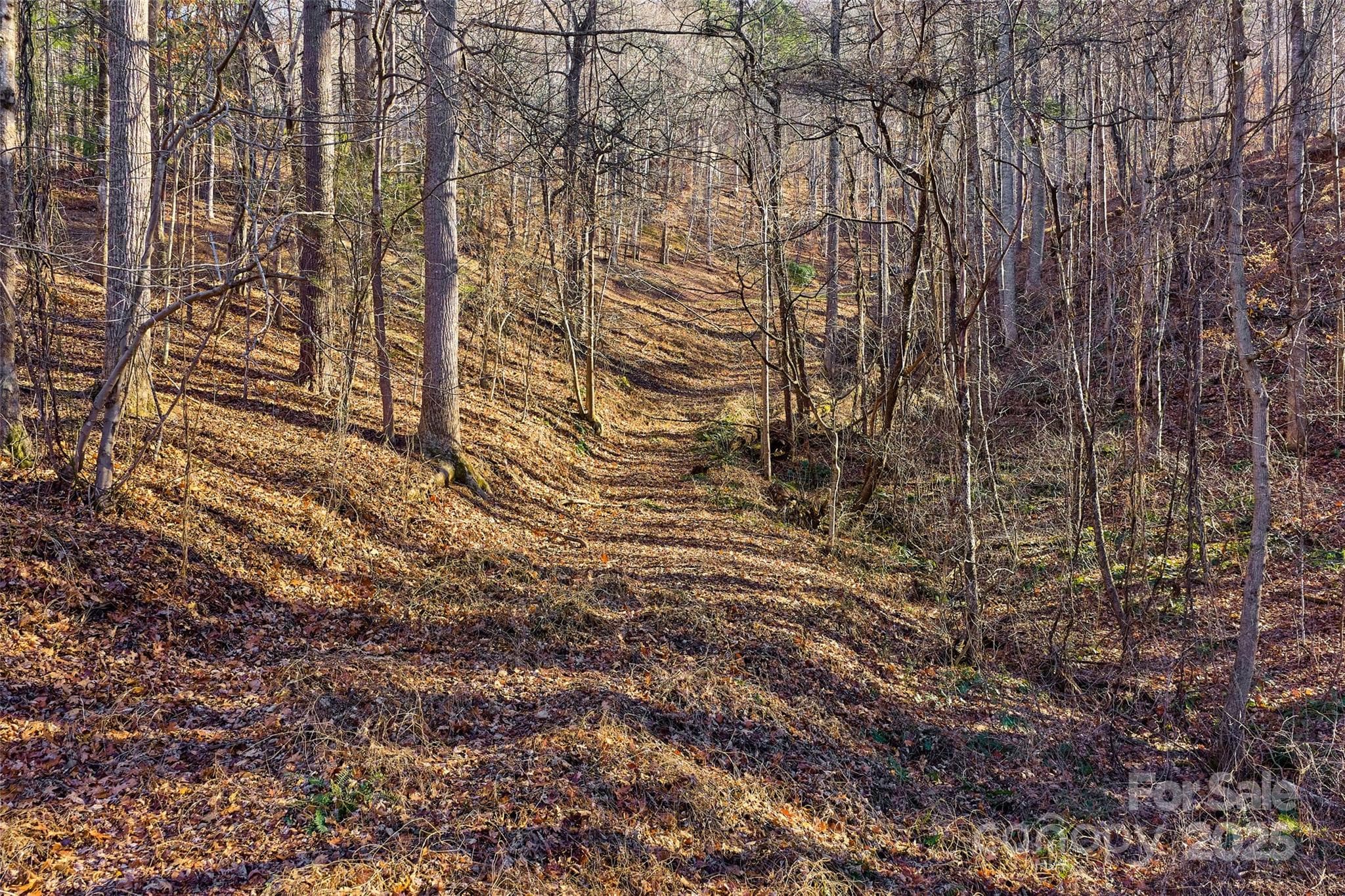 Possible build site #2 - 15 Beech Tree Lane, Asheville