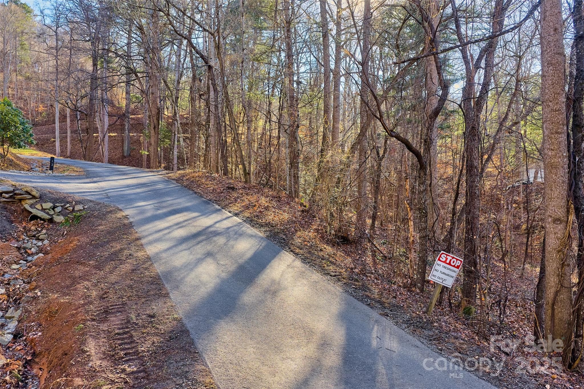Approaching lot on Beech Tree Lane - 15 Beech Tree Lane, Asheville