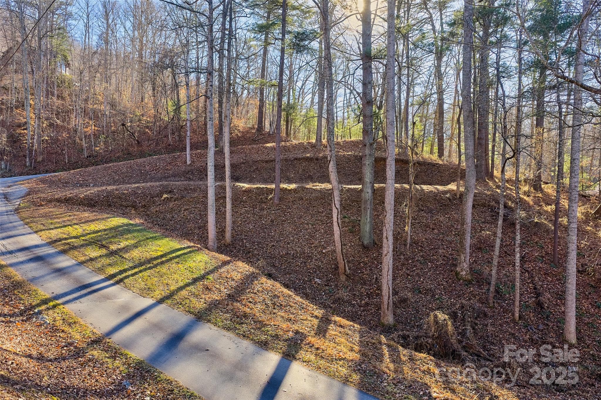 Top of lot, facing building site #1. - 15 Beech Tree Lane, Asheville