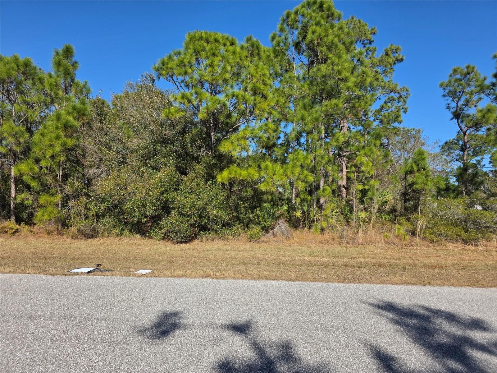 HORNBUCKLE BLVD