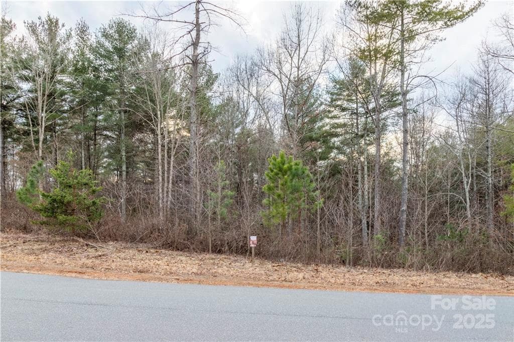Lot at 1209 Lakeside Way NW, Valdese, photo 2 of 11