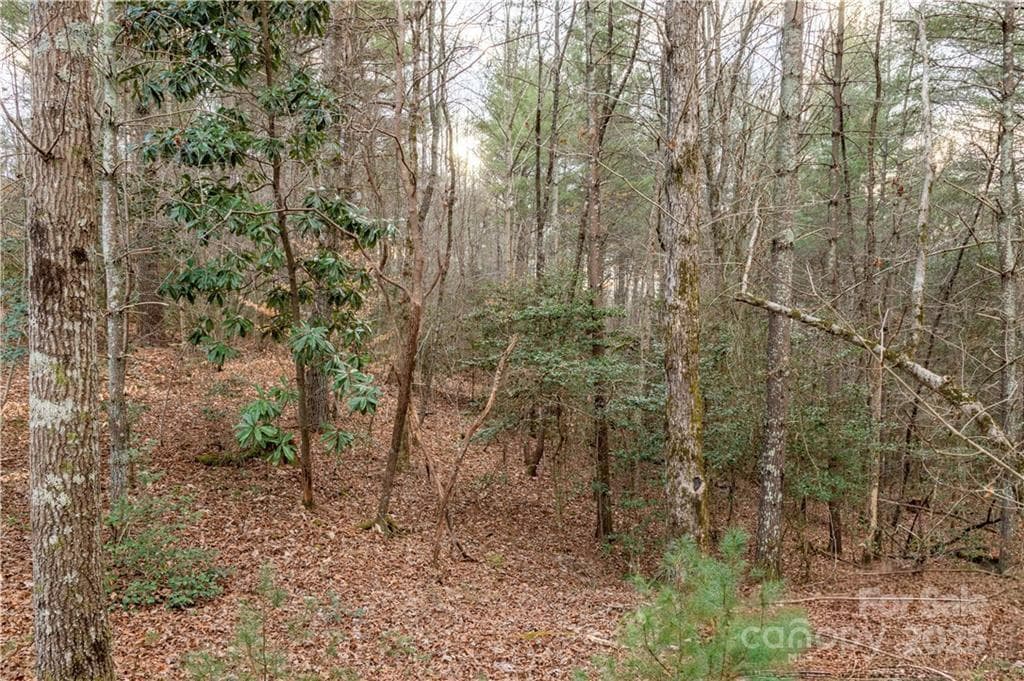 Lot at 1209 Lakeside Way NW, Valdese, photo 4 of 11