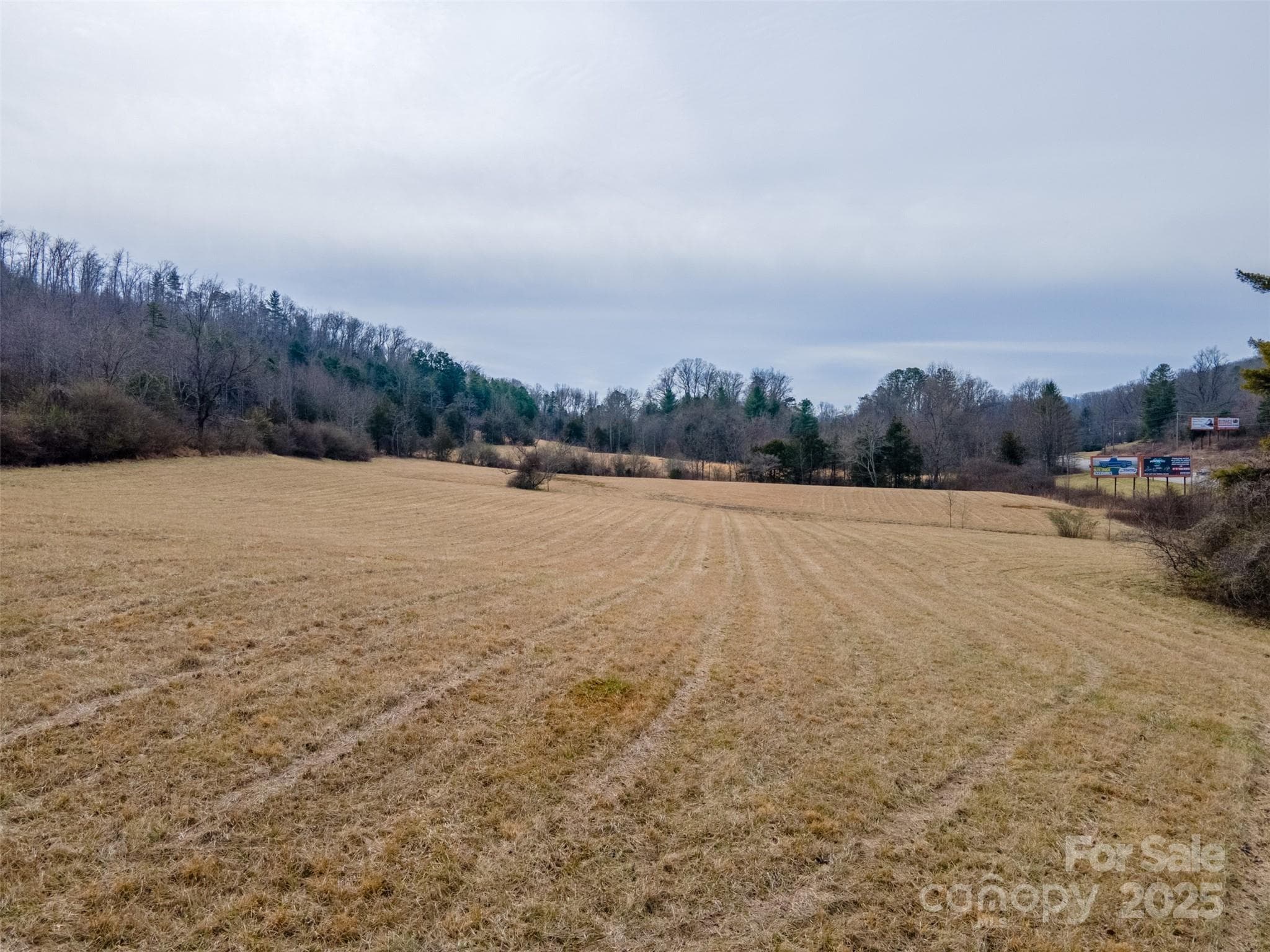 Unimproved Commercial at 0 Georgia Road, Franklin, photo 2 of 29