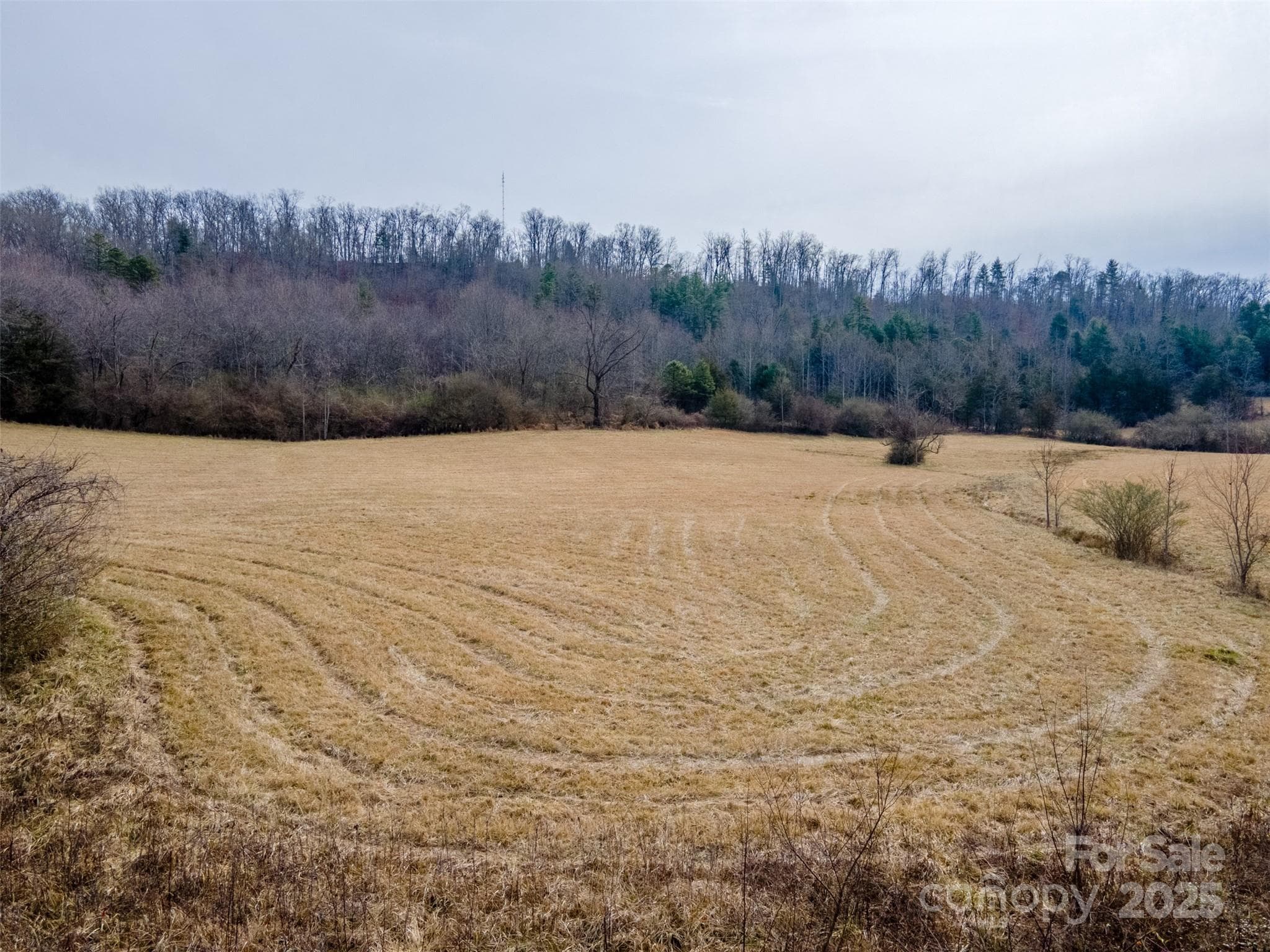 Unimproved Commercial at 0 Georgia Road, Franklin, photo 3 of 29