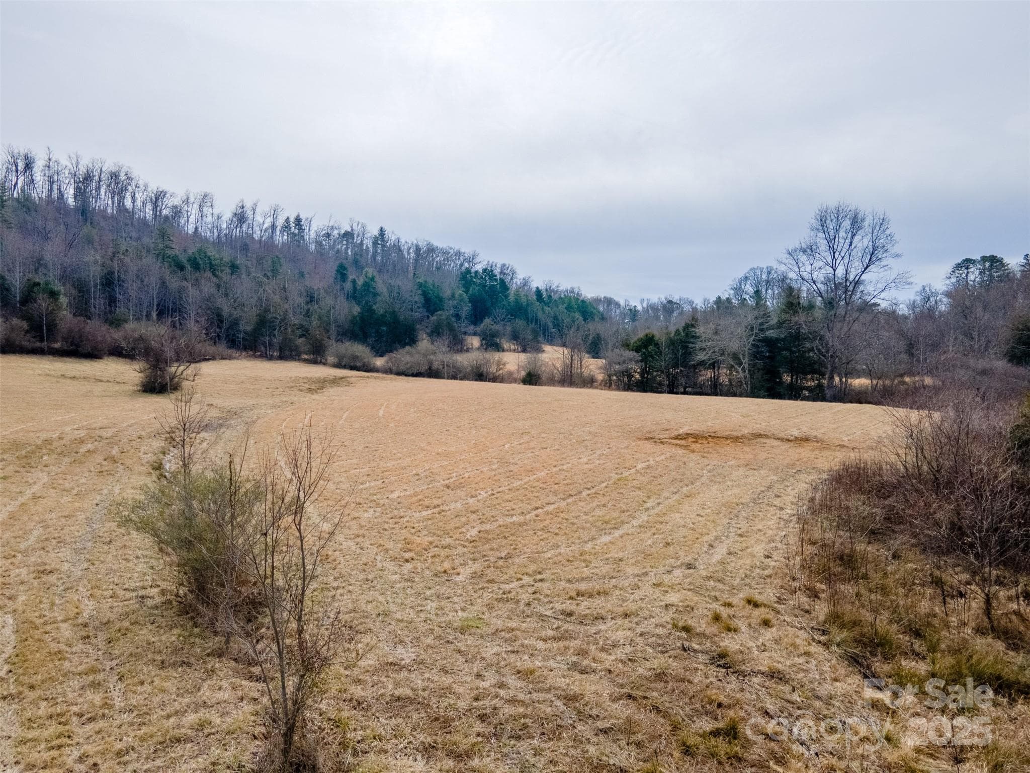 Unimproved Commercial at 0 Georgia Road, Franklin, photo 4 of 29
