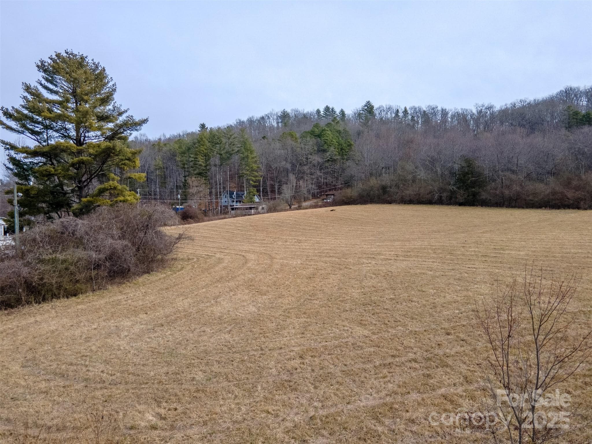 Unimproved Commercial at 0 Georgia Road, Franklin, photo 5 of 29