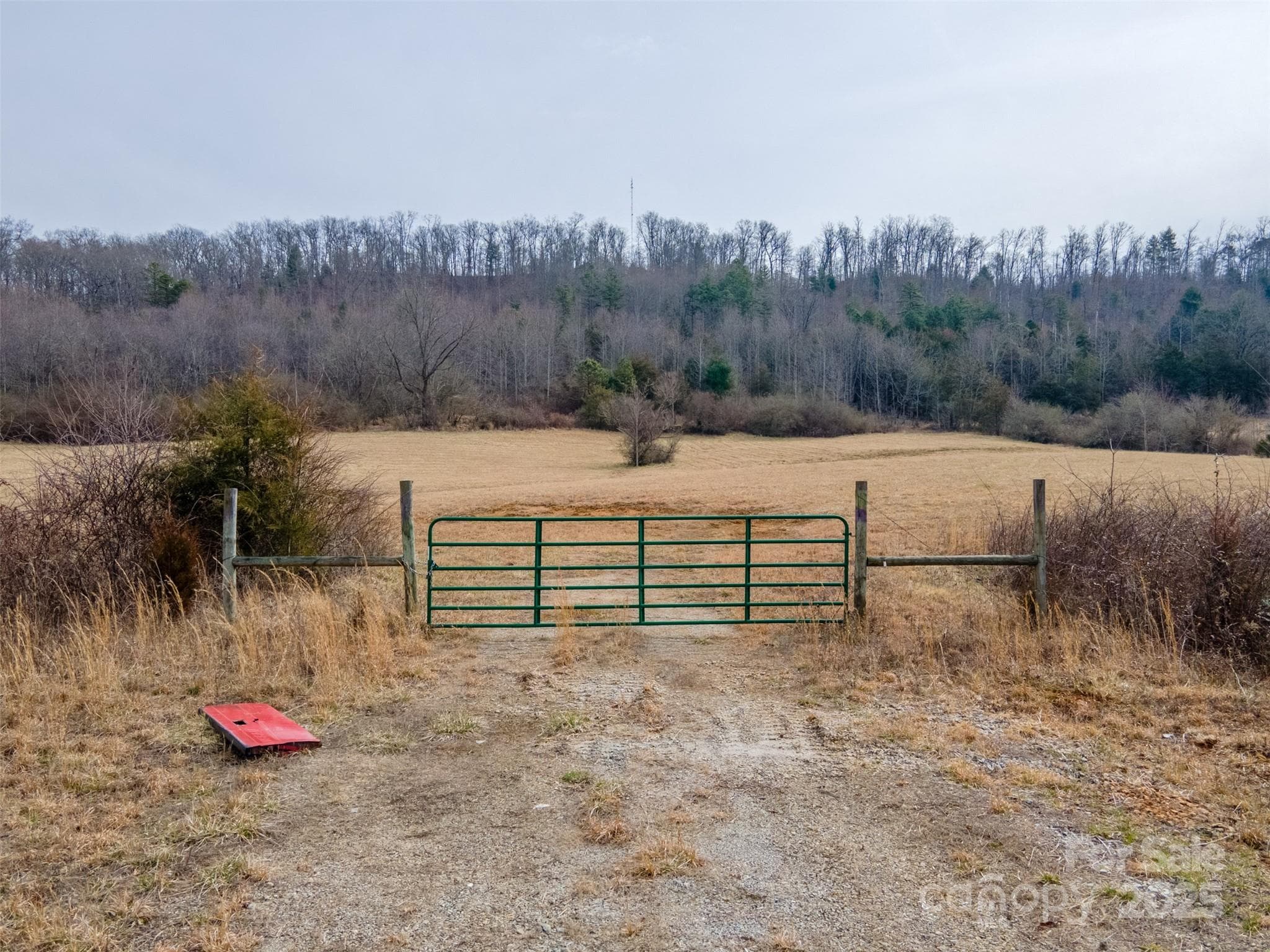 Unimproved Commercial at 0 Georgia Road, Franklin, photo 7 of 29