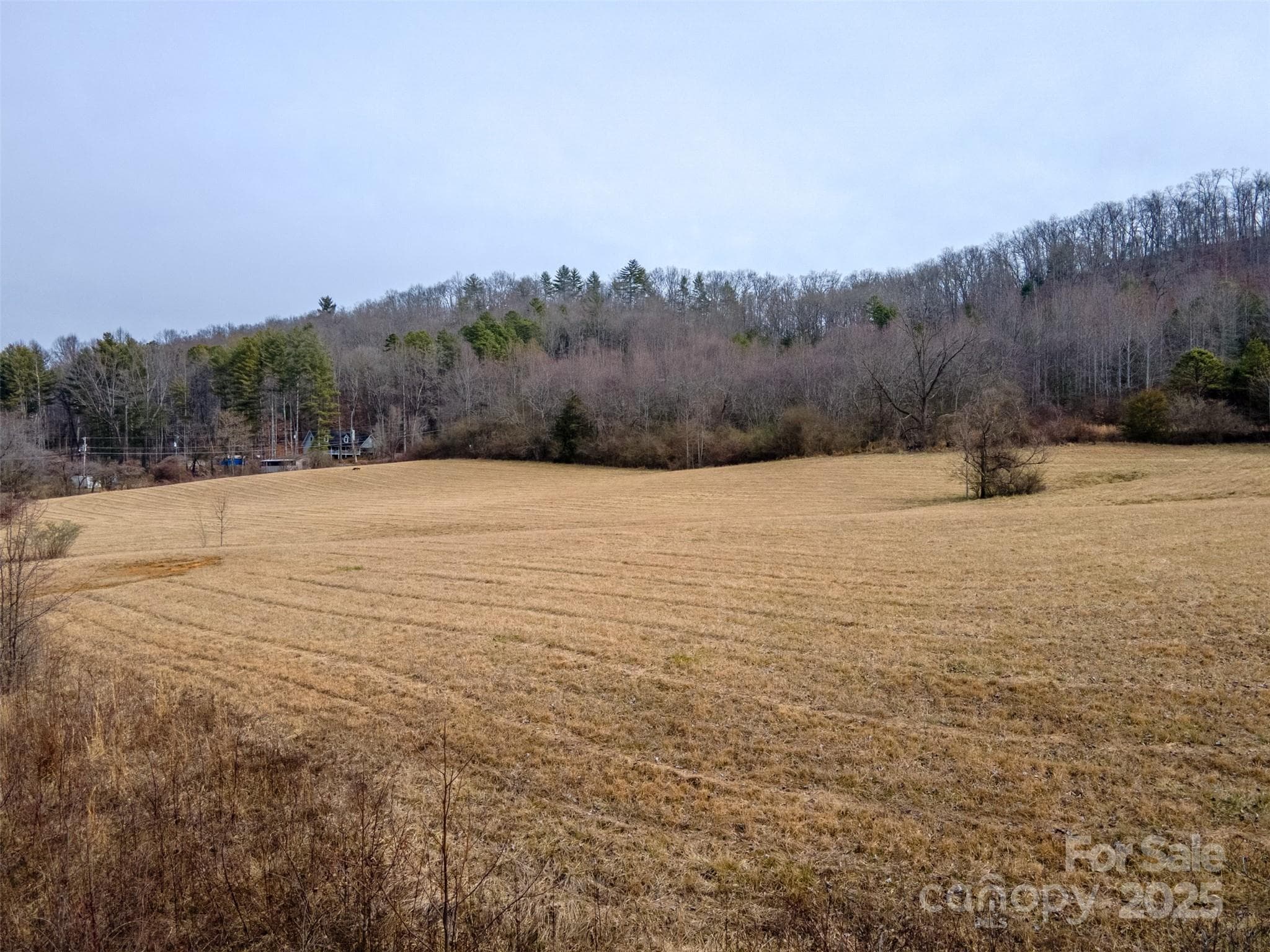 Unimproved Commercial at 0 Georgia Road, Franklin, photo 8 of 29