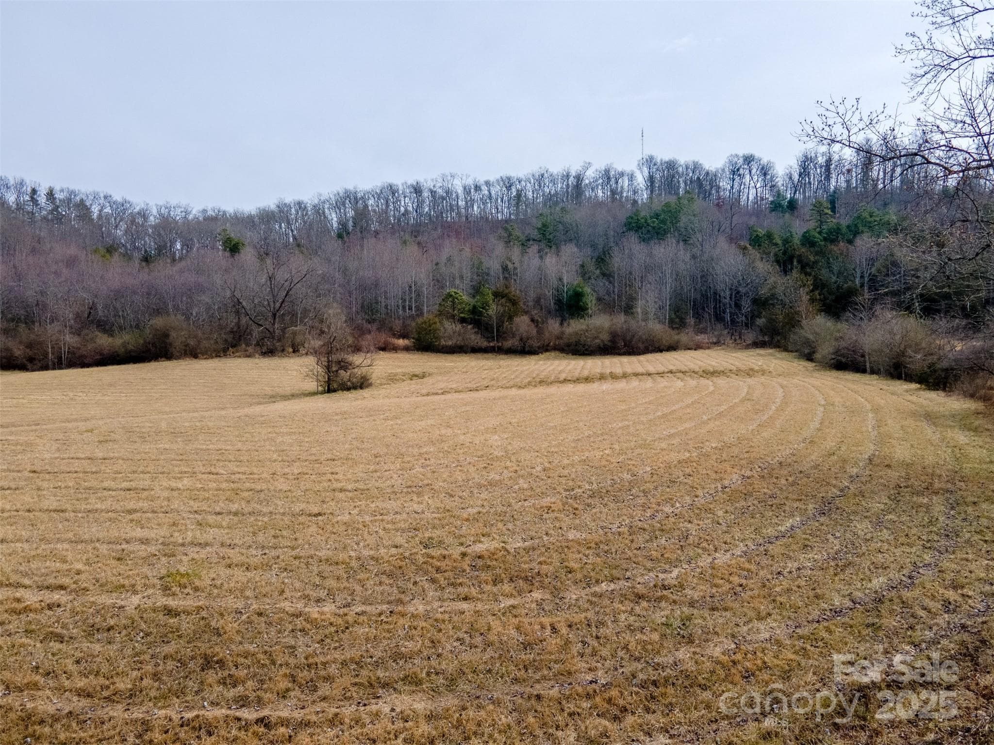 Unimproved Commercial at 0 Georgia Road, Franklin, photo 9 of 29