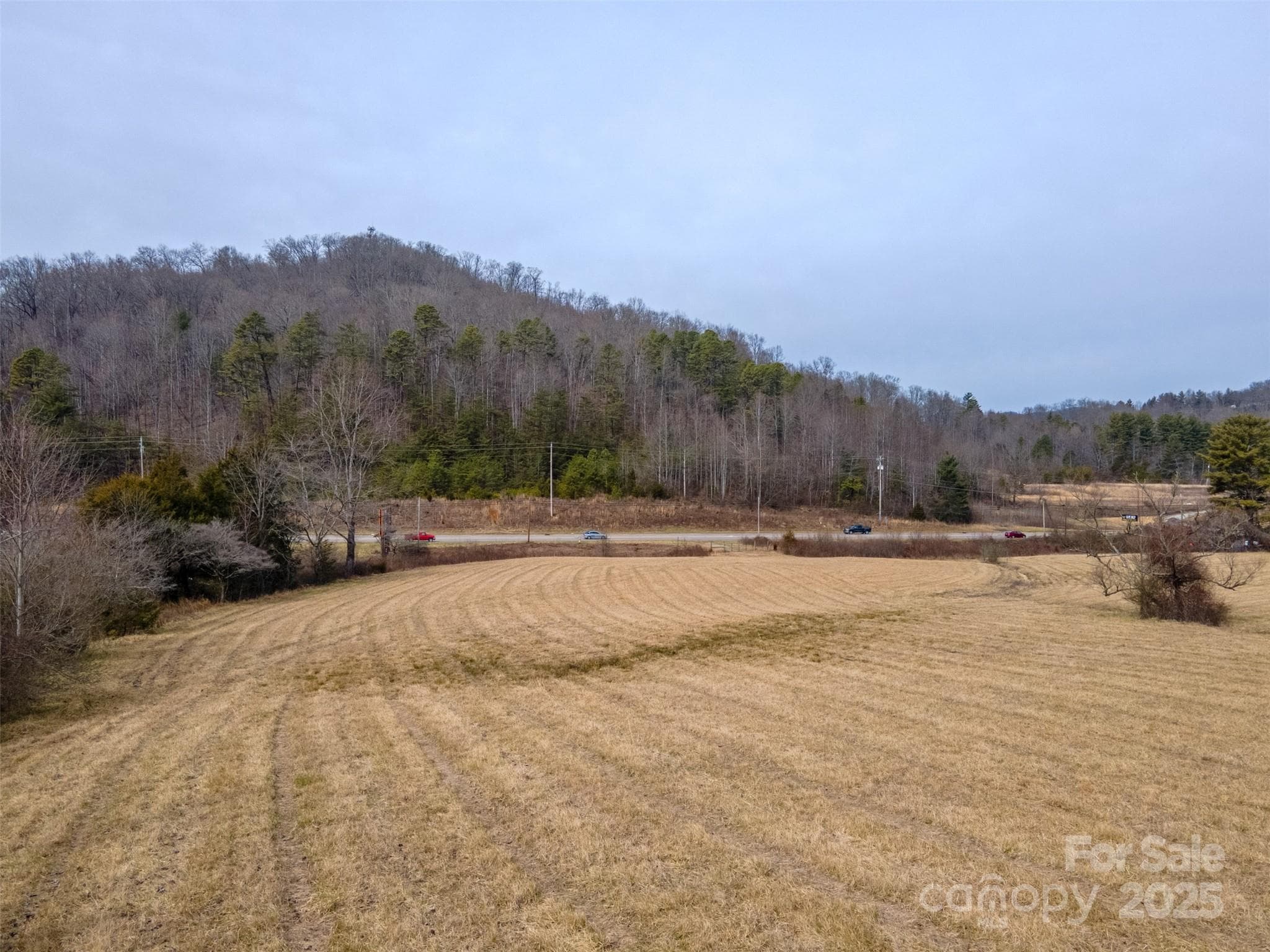 Unimproved Commercial at 0 Georgia Road, Franklin, photo 10 of 29