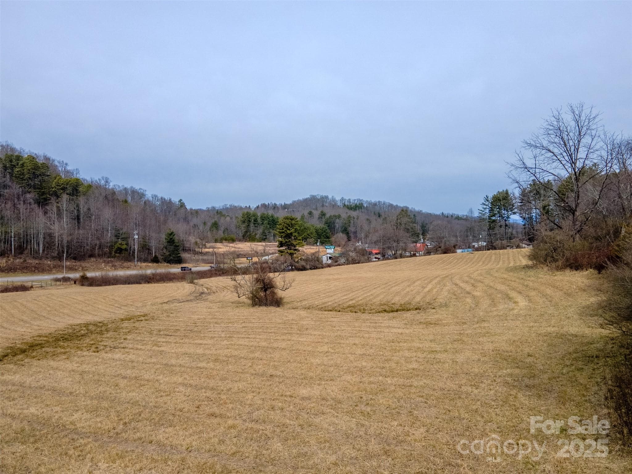 Unimproved Commercial at 0 Georgia Road, Franklin, photo 11 of 29