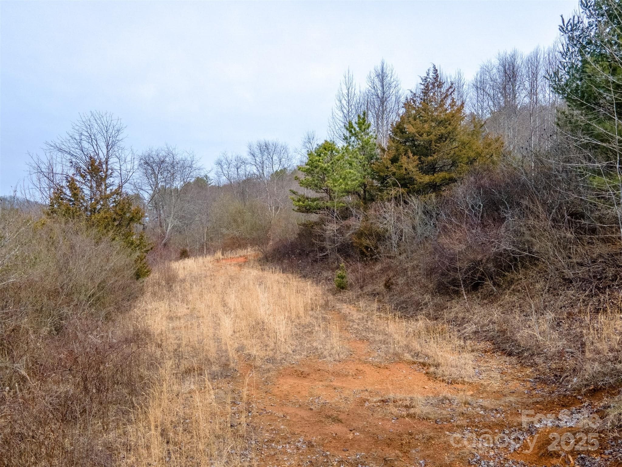 Unimproved Commercial at 0 Georgia Road, Franklin, photo 12 of 29