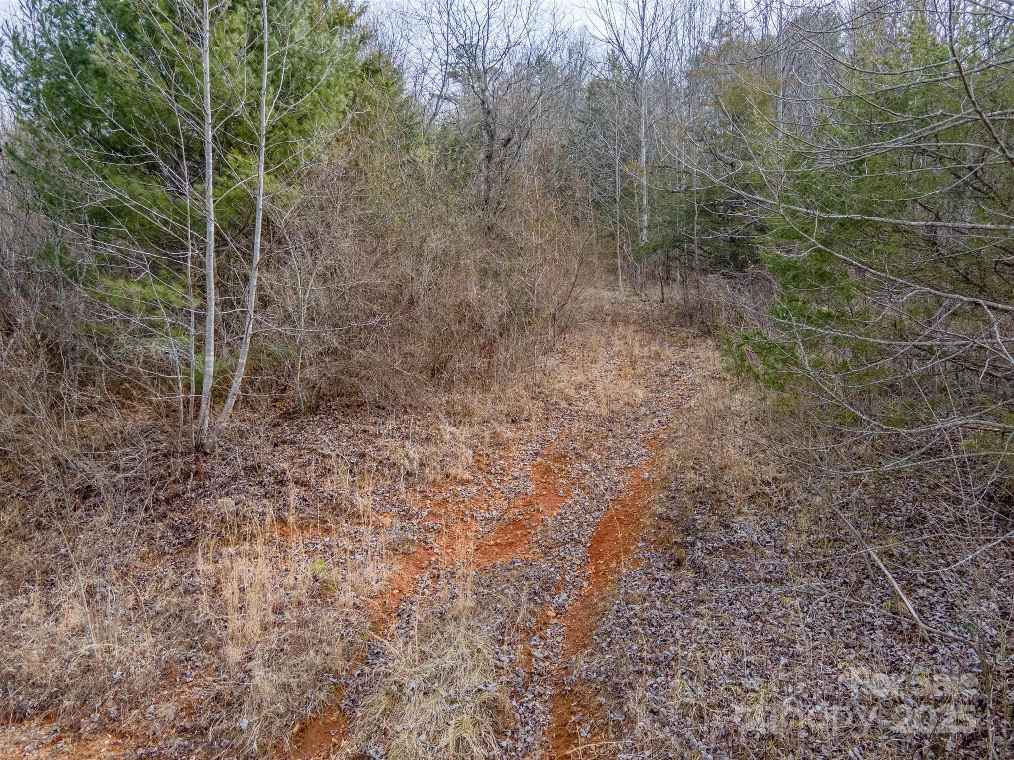 Unimproved Commercial at 0 Georgia Road, Franklin, photo 13 of 29