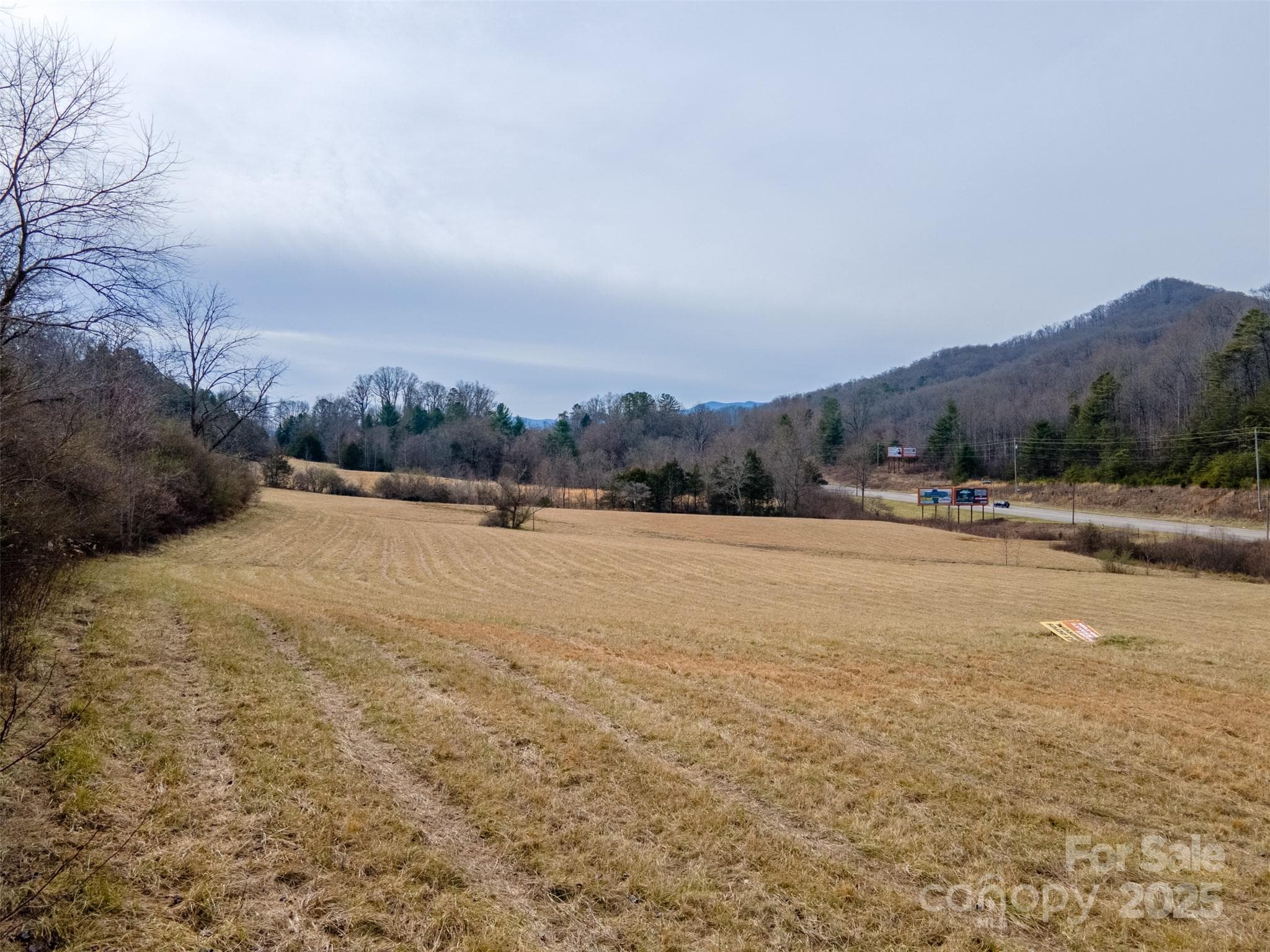 Unimproved Commercial at 0 Georgia Road, Franklin, photo 14 of 29