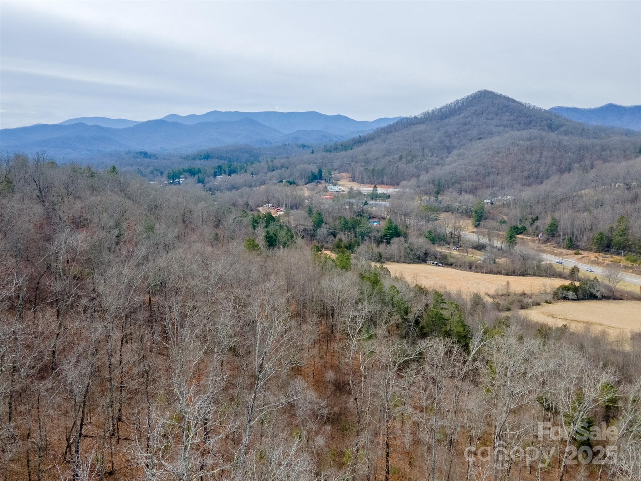 Unimproved Commercial at 0 Georgia Road, Franklin, photo 17 of 29