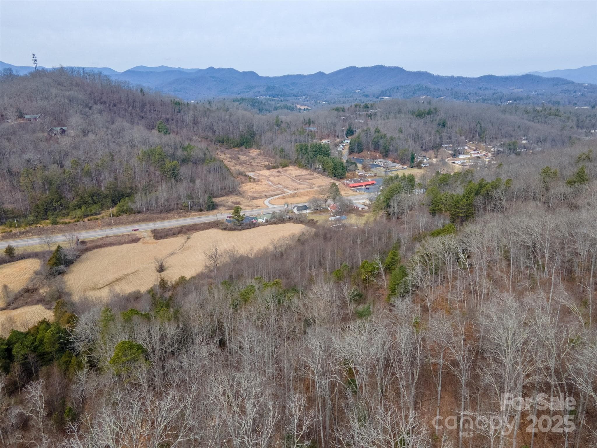 Unimproved Commercial at 0 Georgia Road, Franklin, photo 18 of 29