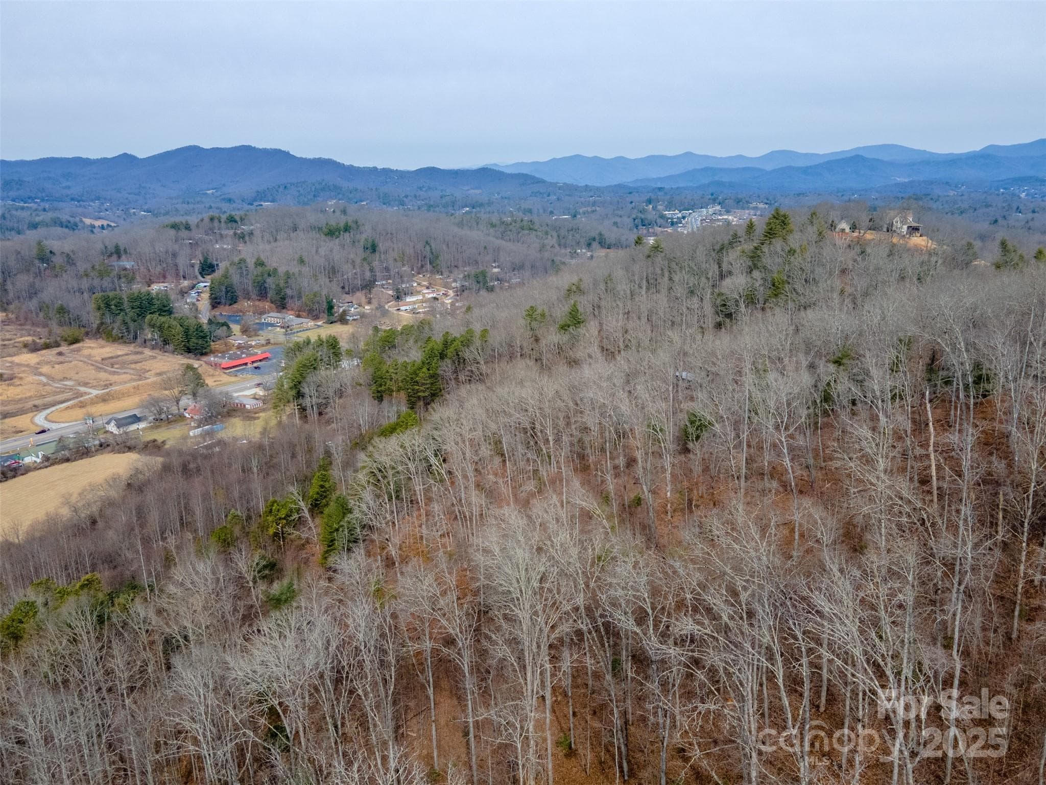 Unimproved Commercial at 0 Georgia Road, Franklin, photo 19 of 29