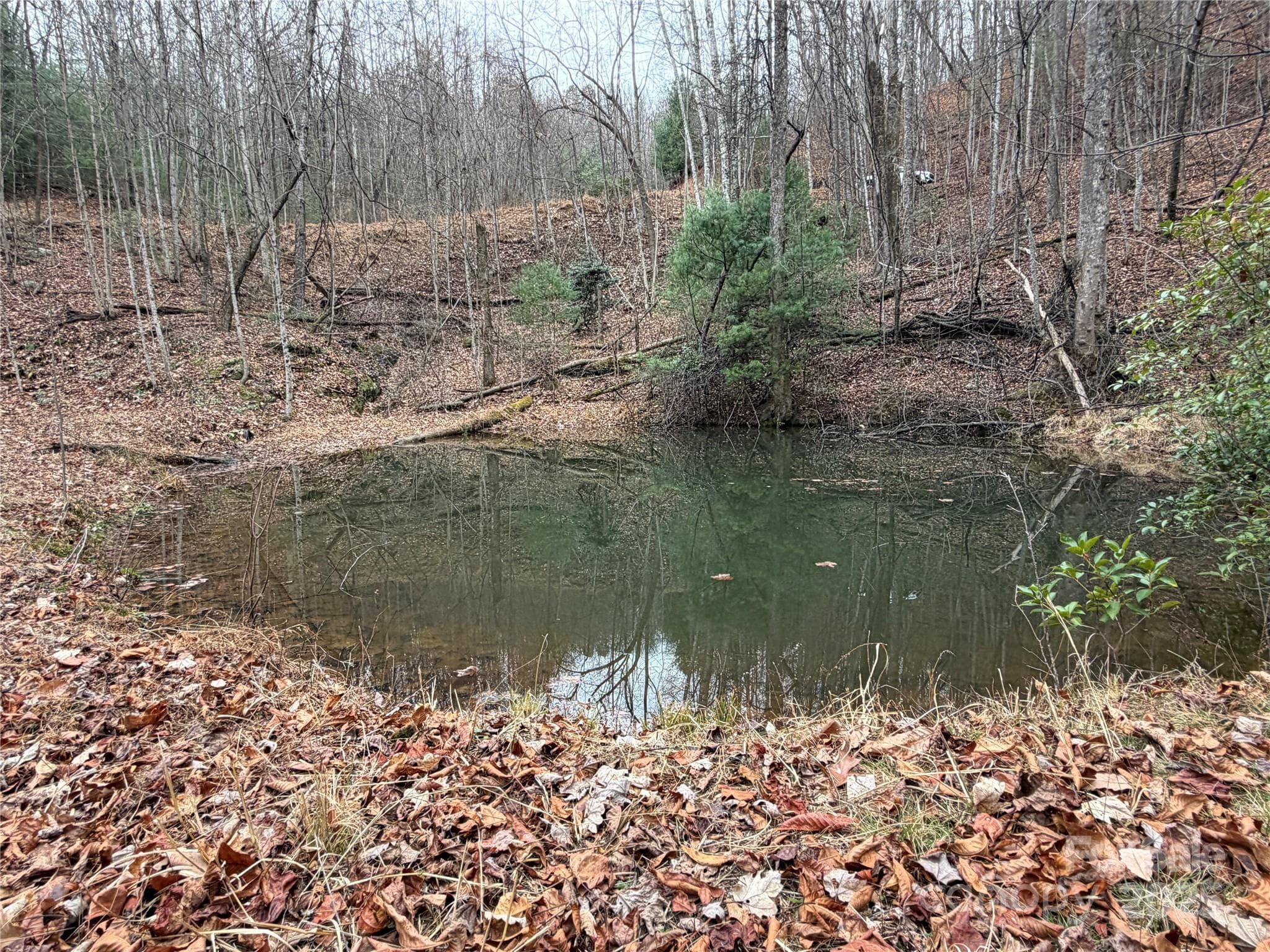 Spring-Fed Pond on Lot 218 - TBD Casey Mountain Road, Purlear