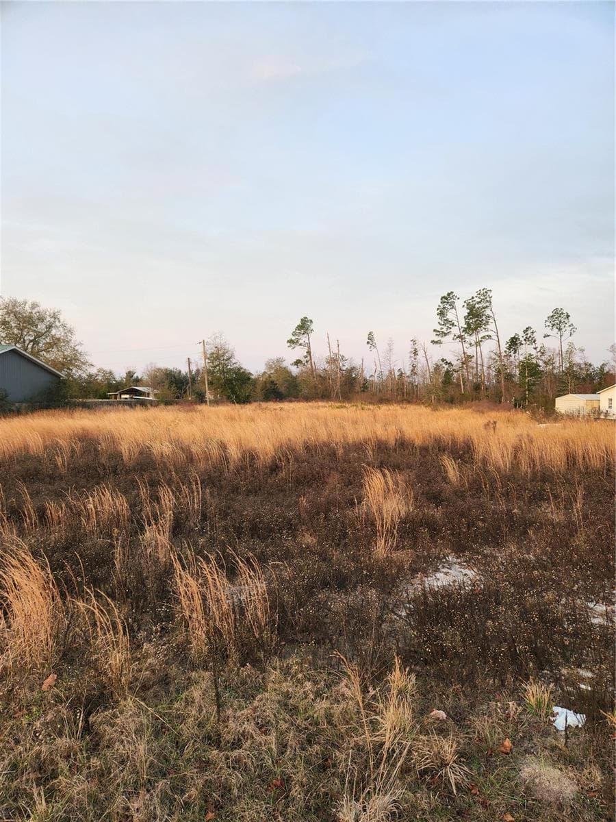 Land at 7901 HIGHWAY 2301, PANAMA CITY, photo 4 of 5