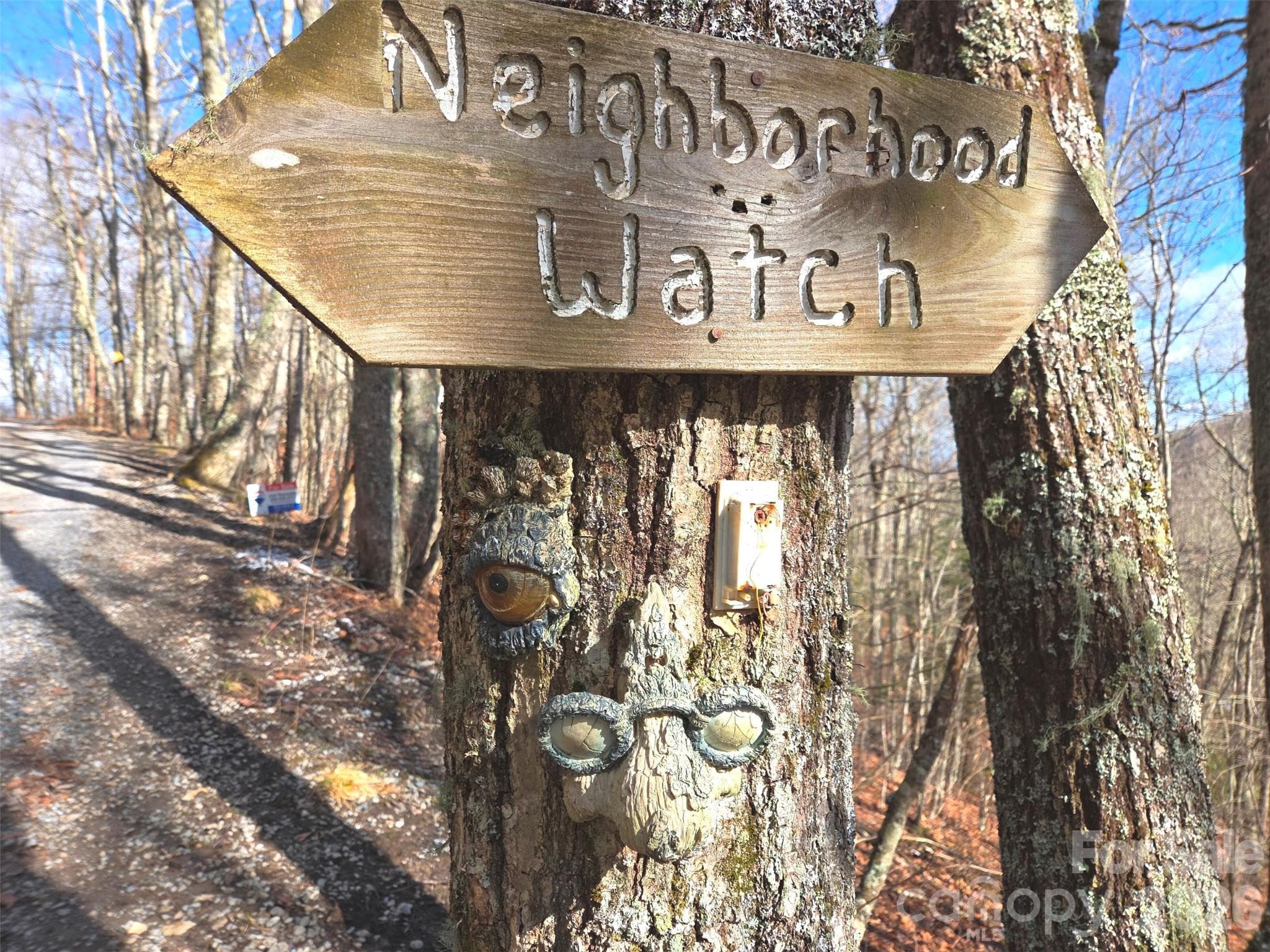 Lot at 220 Sky Drive, Maggie Valley, photo 5 of 19